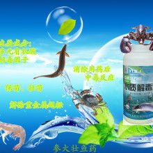2018水產(chǎn)消毒劑市場(chǎng)行情、報(bào)價(jià)及批發(fā)渠道概覽——聚焦養(yǎng)殖網(wǎng)資訊
